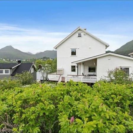 Lovely 1 Bedroom Downstairs Condo With Free Parking Place Svolvær Esterno foto